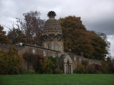 pineapple building